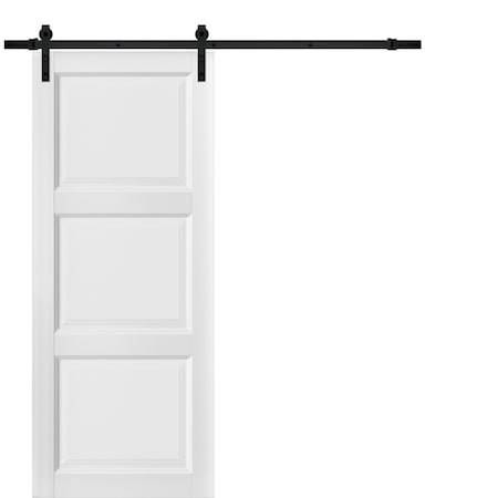 Sartodoors Barn Interior Door, 18" x 96", White LUCIA2661BD-B-BEM-1896